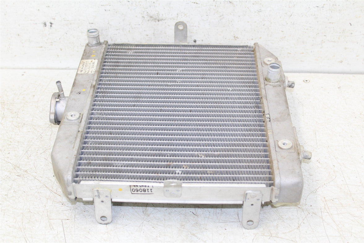 2007 Honda Foreman Rubicon TRX 500 FA Radiator w/ Coolant Hoses