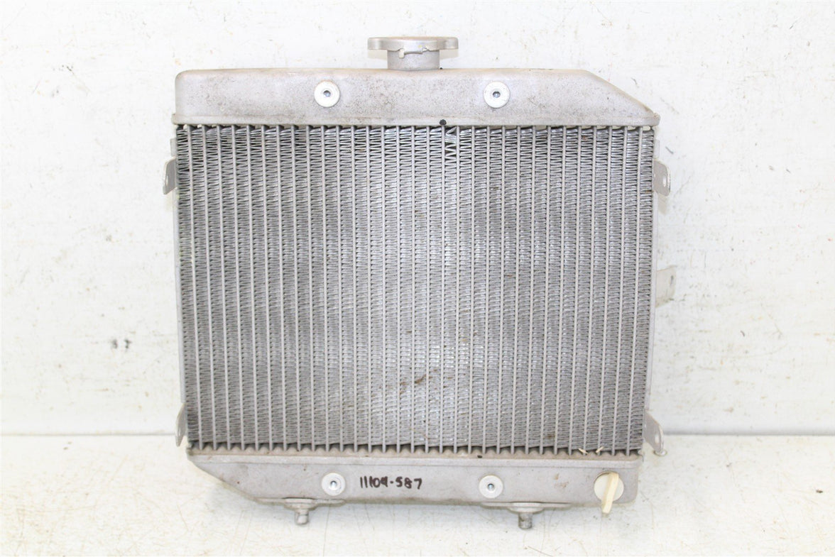 2007 Honda Foreman Rubicon TRX 500 FA Radiator w/ Coolant Hoses