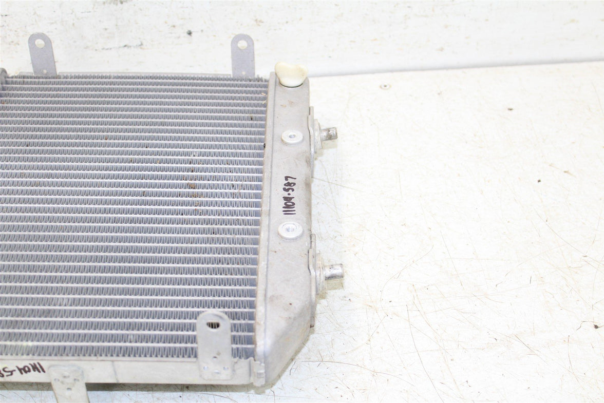 2007 Honda Foreman Rubicon TRX 500 FA Radiator w/ Coolant Hoses