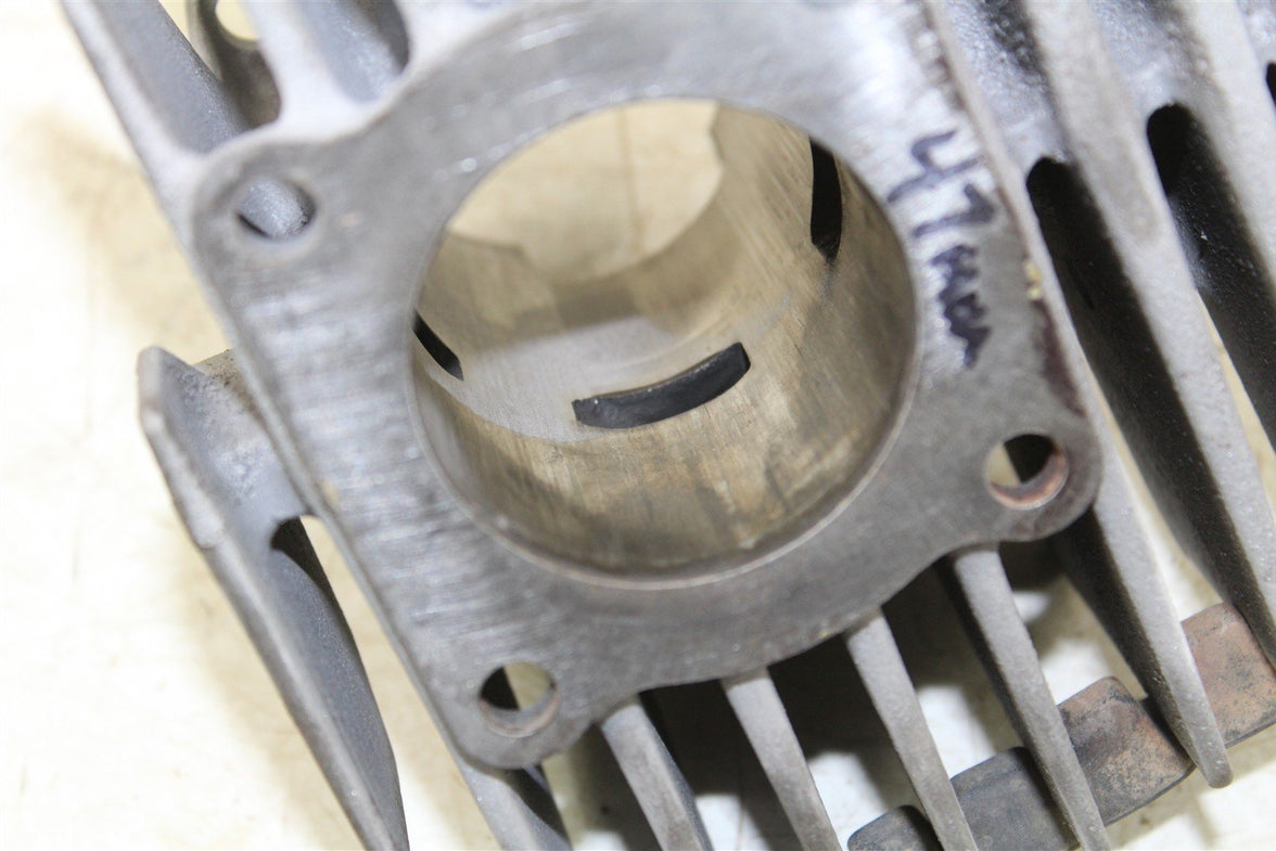 1996 Yamaha PW 80 Cylinder Jug 55066