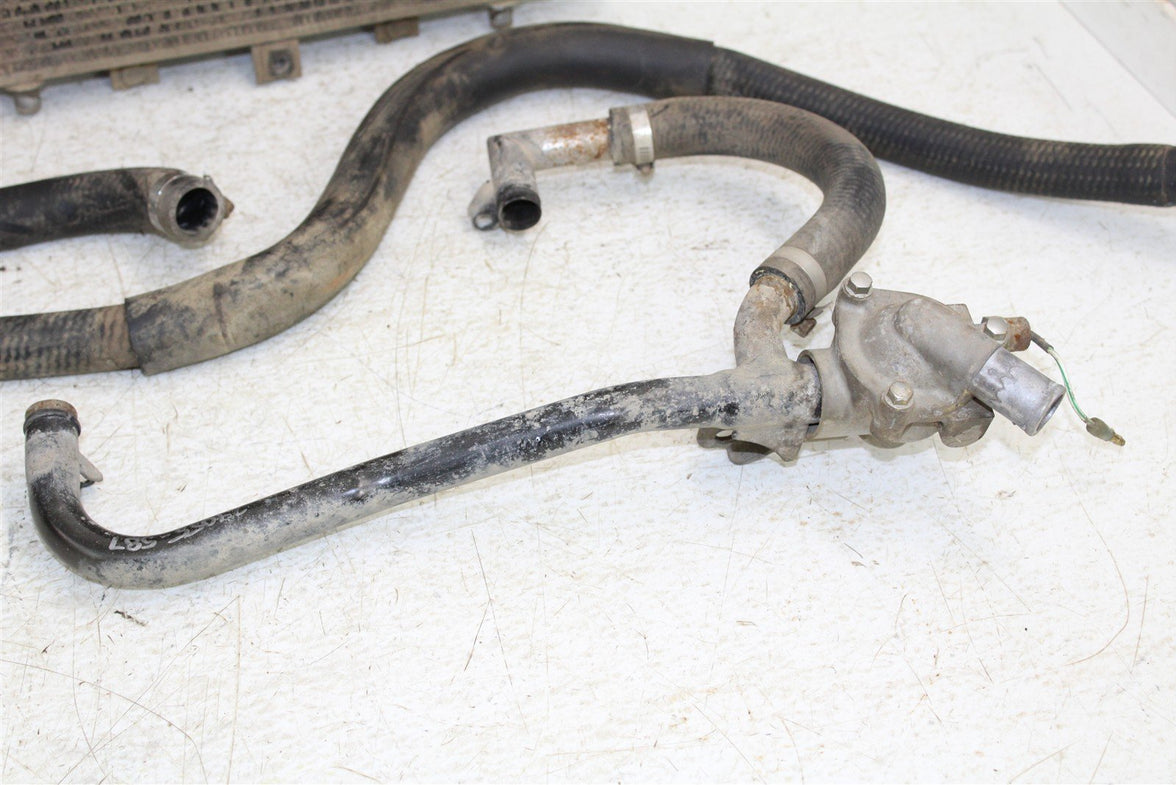 2006 Kawasaki Brute Force 750 4x4 Radiator w/ Thermostat Coolant Hoses 24055