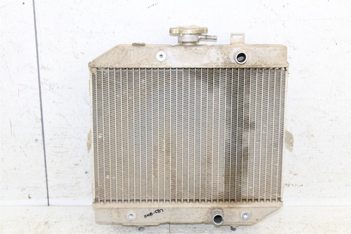 2001 Honda Foreman Rubicon 500 FA Radiator w/ Coolant Hoses 11108