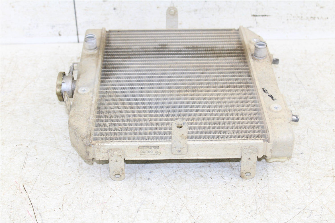 2001 Honda Foreman Rubicon 500 FA Radiator w/ Coolant Hoses 11108