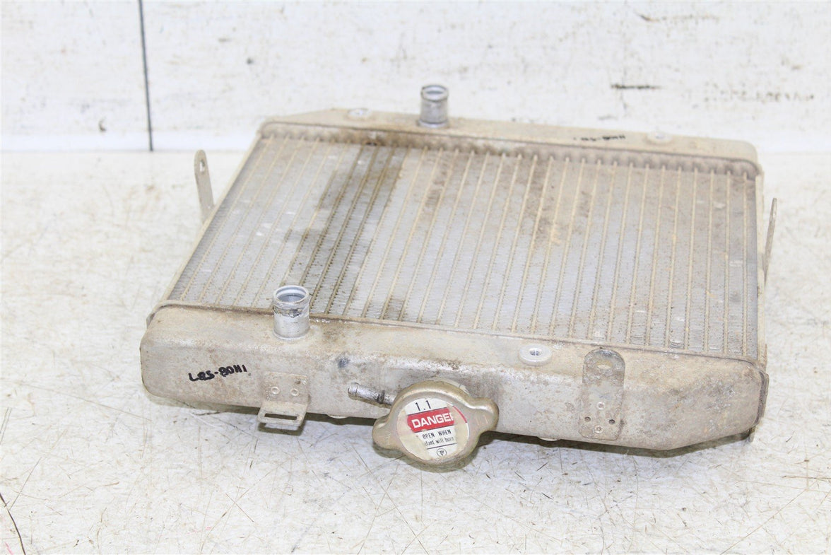 2001 Honda Foreman Rubicon 500 FA Radiator w/ Coolant Hoses 11108