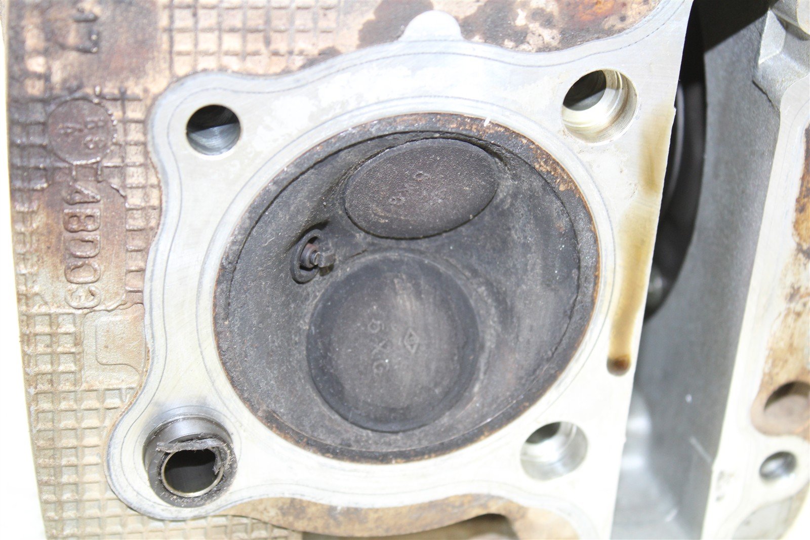 2009 Yamaha Big Bear 250 2x4 Cylinder Head w/ Camshaft Cam Intake Exhaust 50114