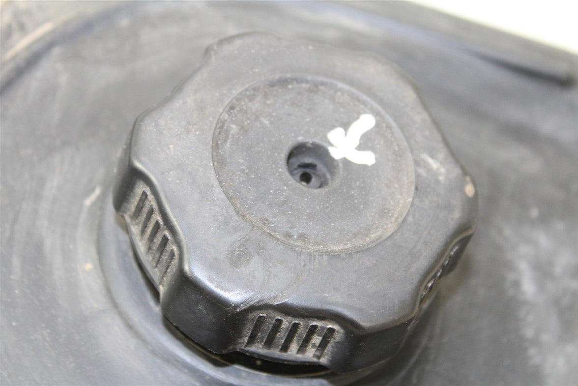 2009 Yamaha Big Bear 250 2x4 Gas Fuel Tank 50114