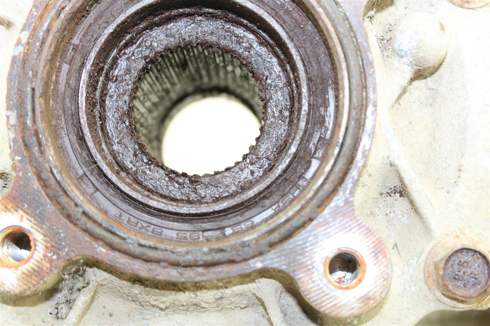 1999 Yamaha Bear Tracker 250 Rear Differential 50122