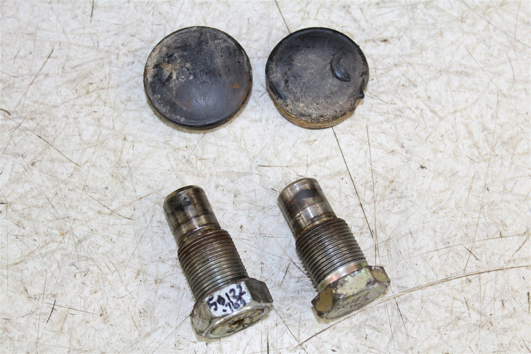 1999 Yamaha Bear Tracker 250 Swingarm Pivot Bolts Swing Arm Nut 50122