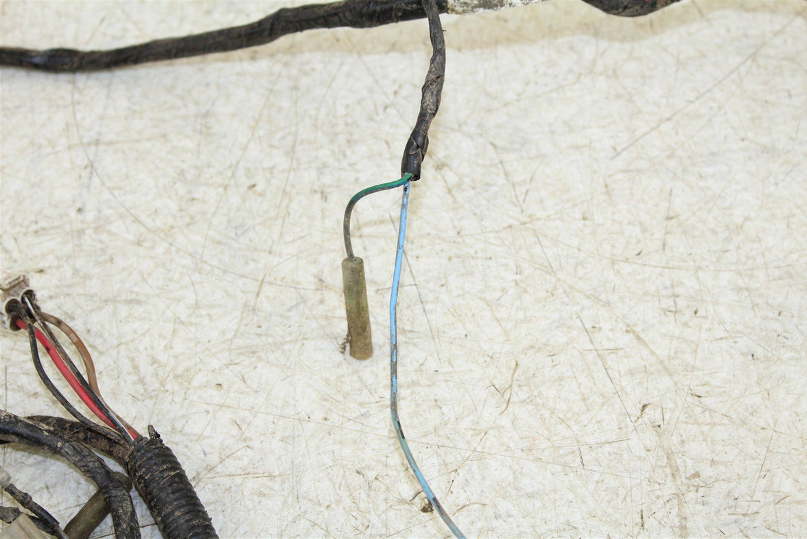1999 Yamaha Bear Tracker 250 Wire Wiring Harness Loom 50122