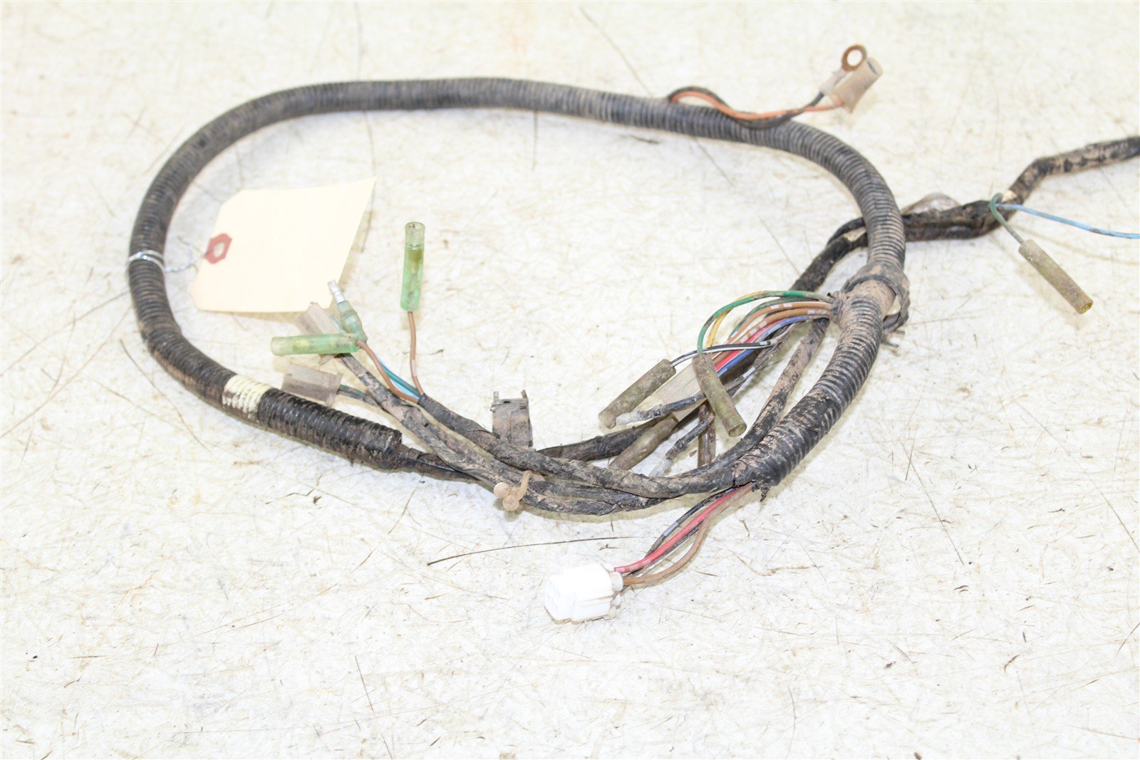 1999 Yamaha Bear Tracker 250 Wire Wiring Harness Loom 50122
