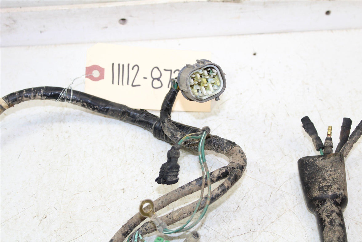2002 Honda TRX 300EX Wire Wiring Harness Loom 11112