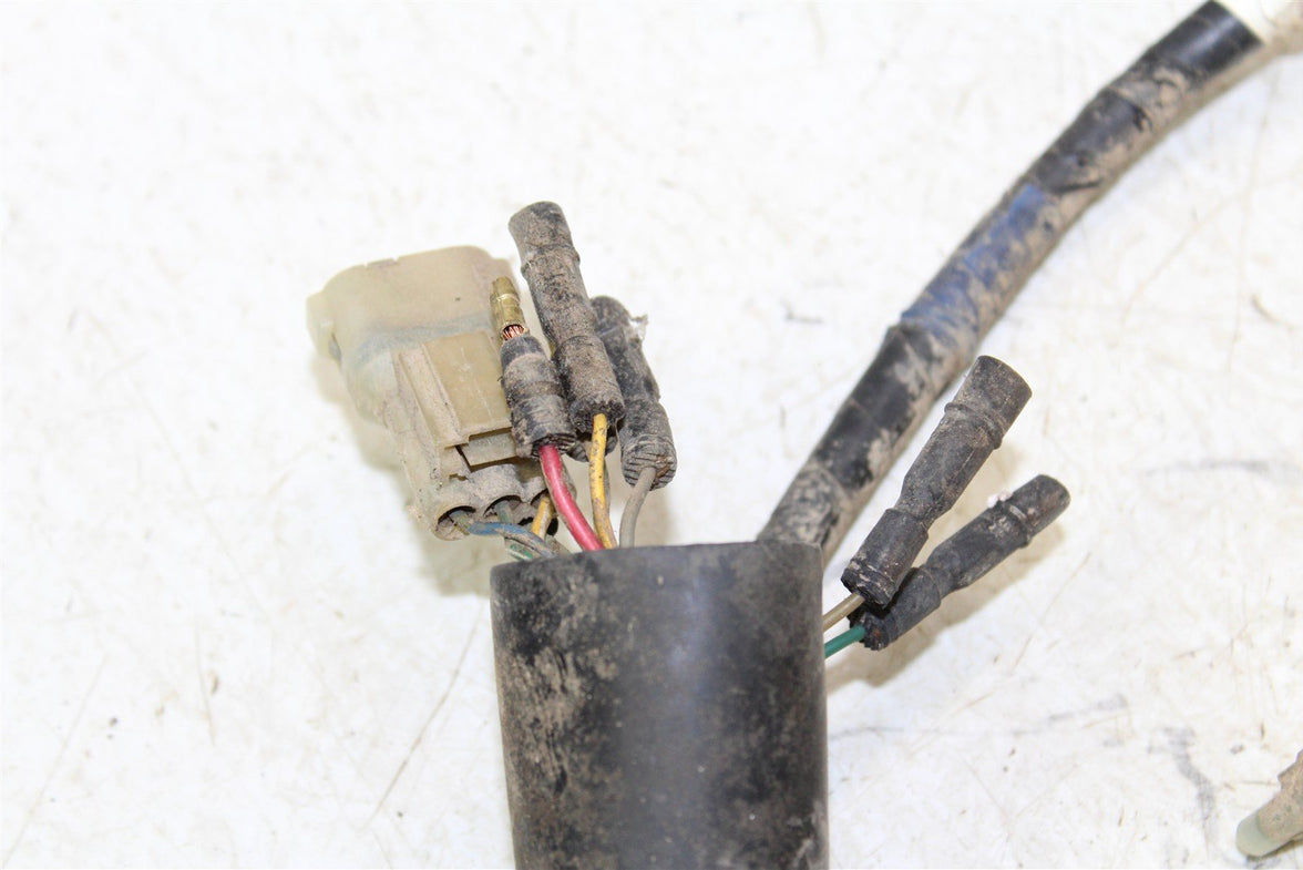 2002 Honda TRX 300EX Wire Wiring Harness Loom 11112
