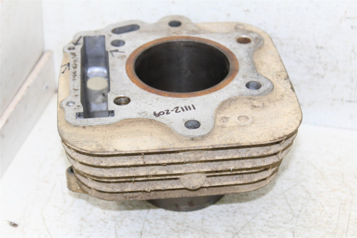 2002 Honda TRX 300EX Engine Cylinder Jug 11112