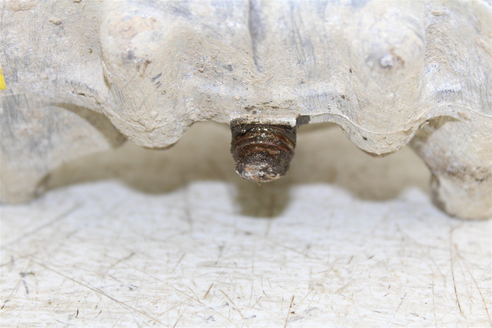 2001 Yamaha Big Bear 400 4x4 Front Differential 50125