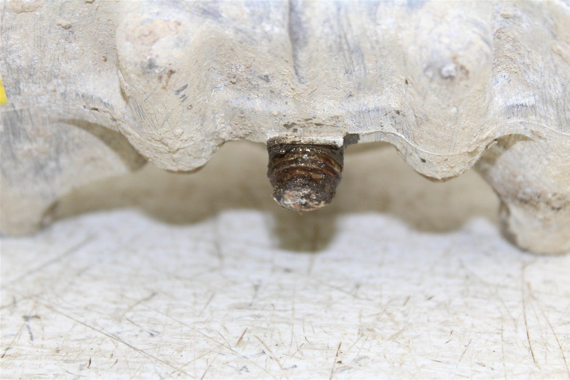 2001 Yamaha Big Bear 400 4x4 Front Differential 50125