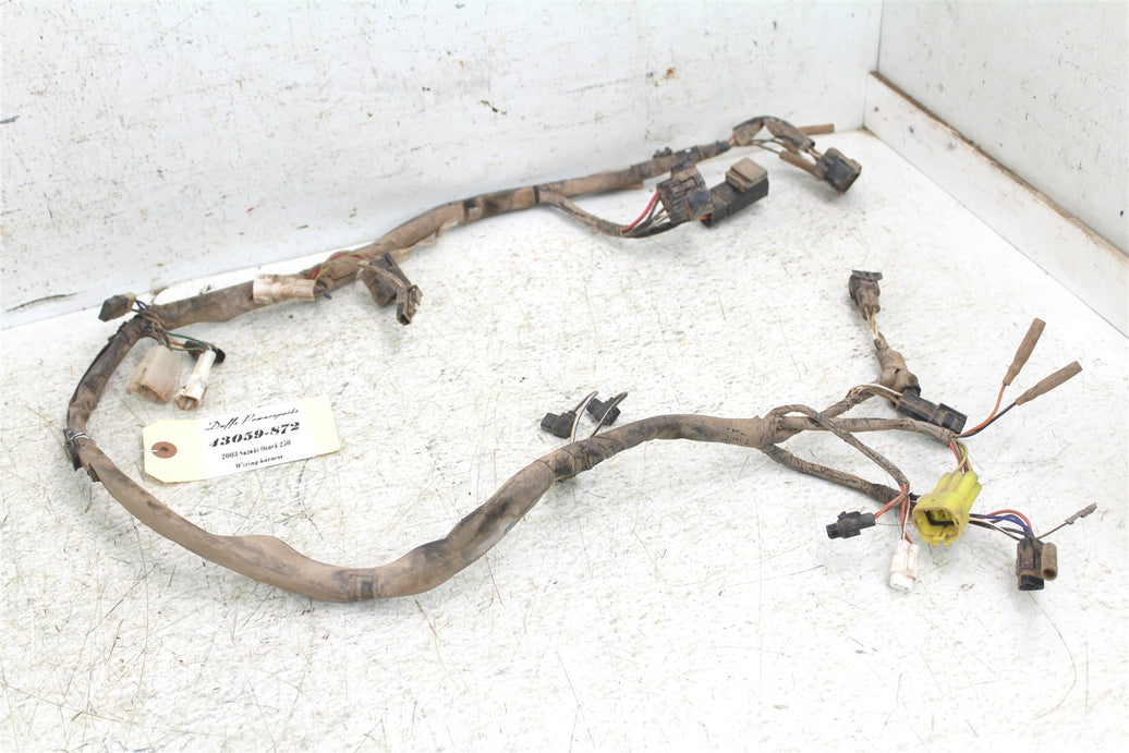 2003 Suzuki Ozark 250 Wire Wiring Harness Loom 43059