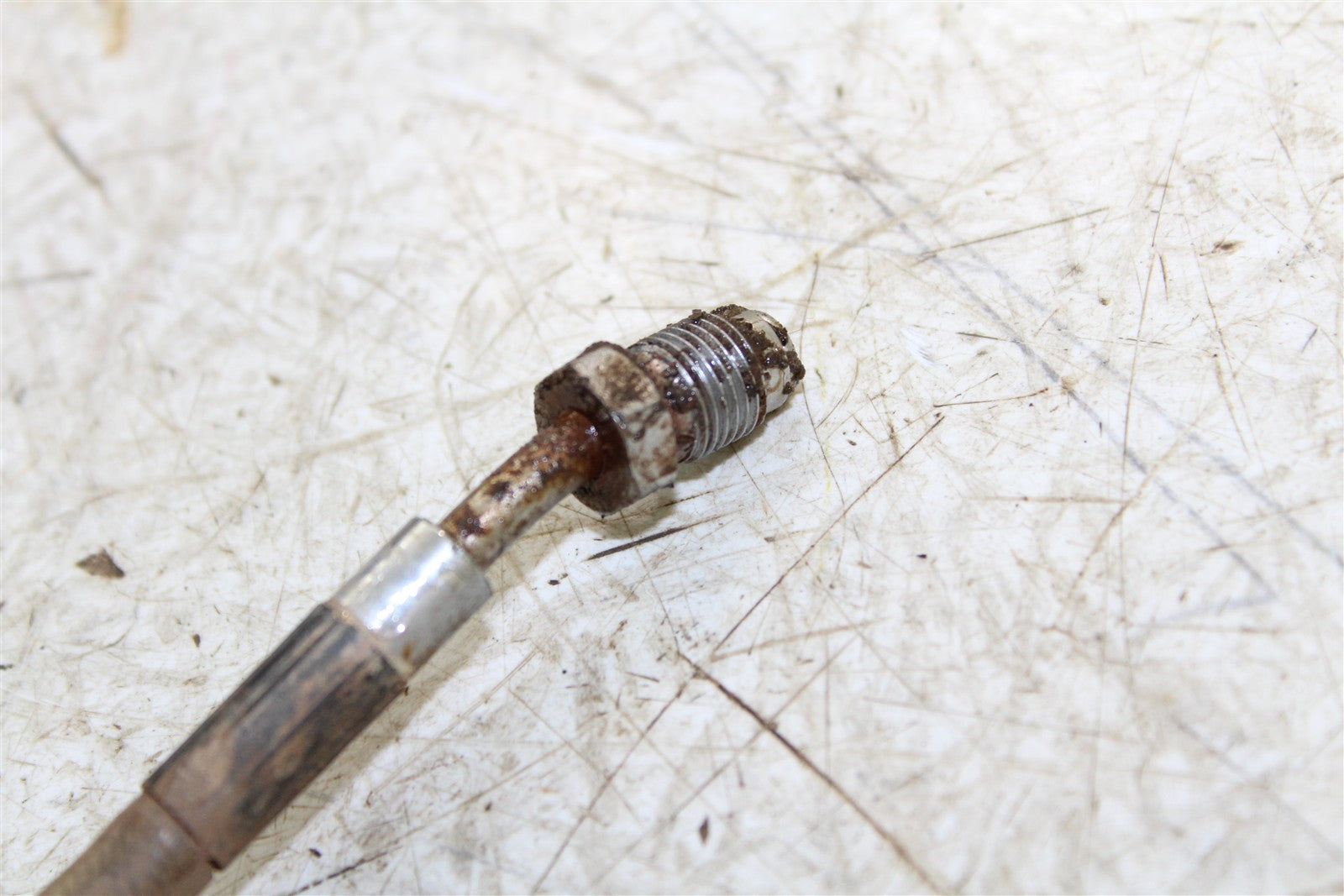 2002 Polaris Sportsman 700 4x4 Rear Brake Hoses Lines 34165