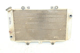 2002 Yamaha Grizzly 660 4x4 Radiator w/ Coolant Hose And Support Bracket