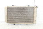 2004 Yamaha Grizzly 660 4x4 Radiator w/ Coolant Hoses