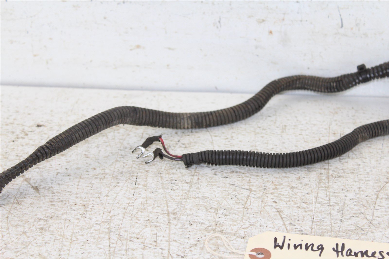 1999 Polaris Trail Boss 250 2x4 Wire Wiring Harness Loom