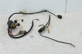1987 Yamaha Champ 100 Wire Wiring Harness