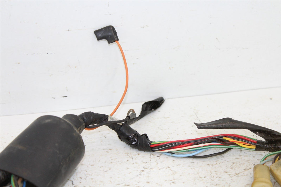1987 Yamaha Champ 100 Wire Wiring Harness