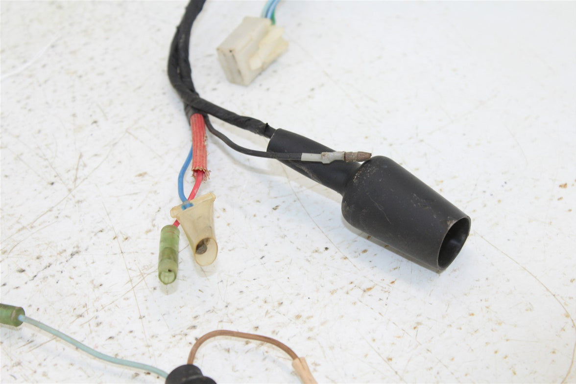 1987 Yamaha Champ 100 Wire Wiring Harness