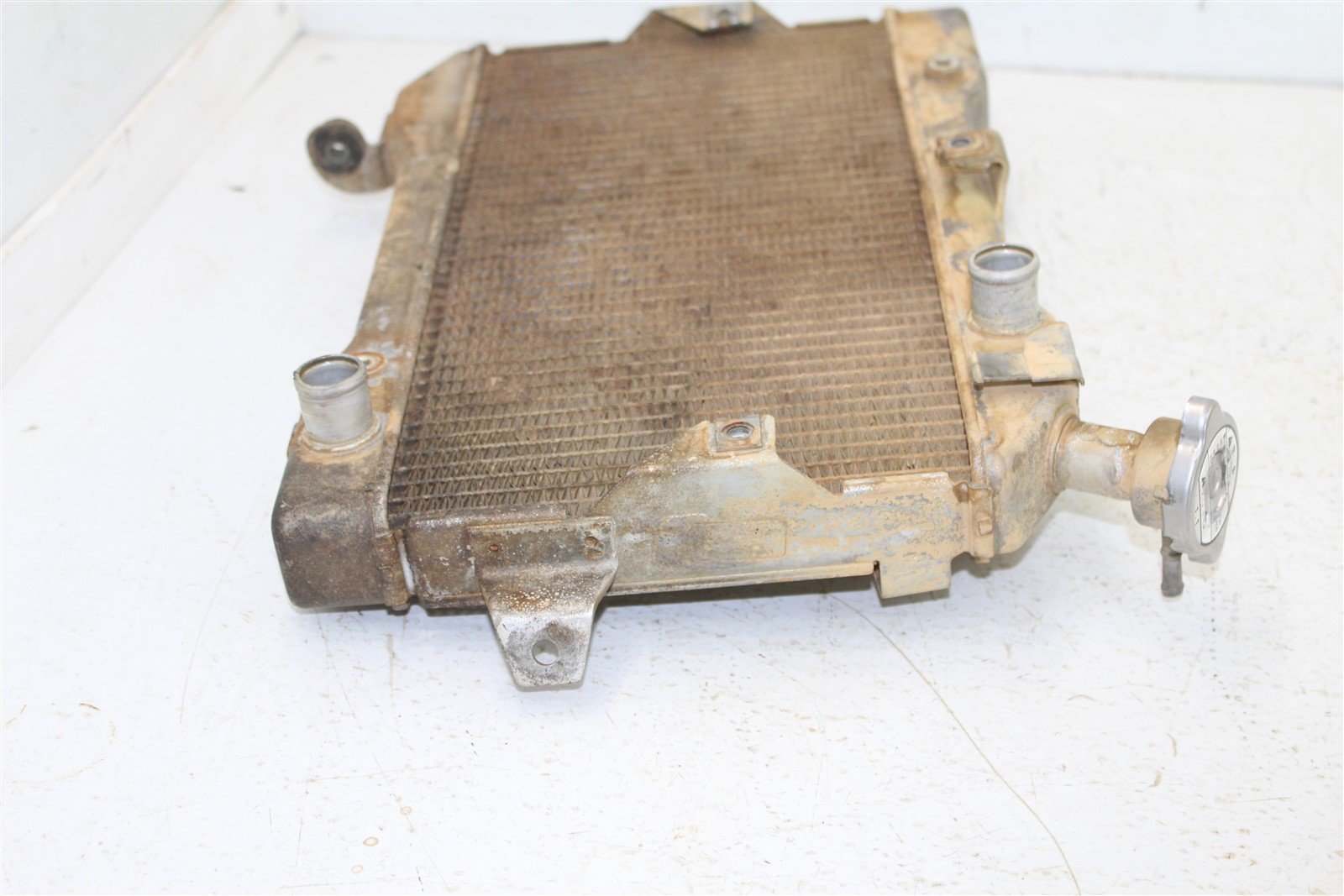 2006 Suzuki LTR-450 Coolant Radiator Guard Hoses