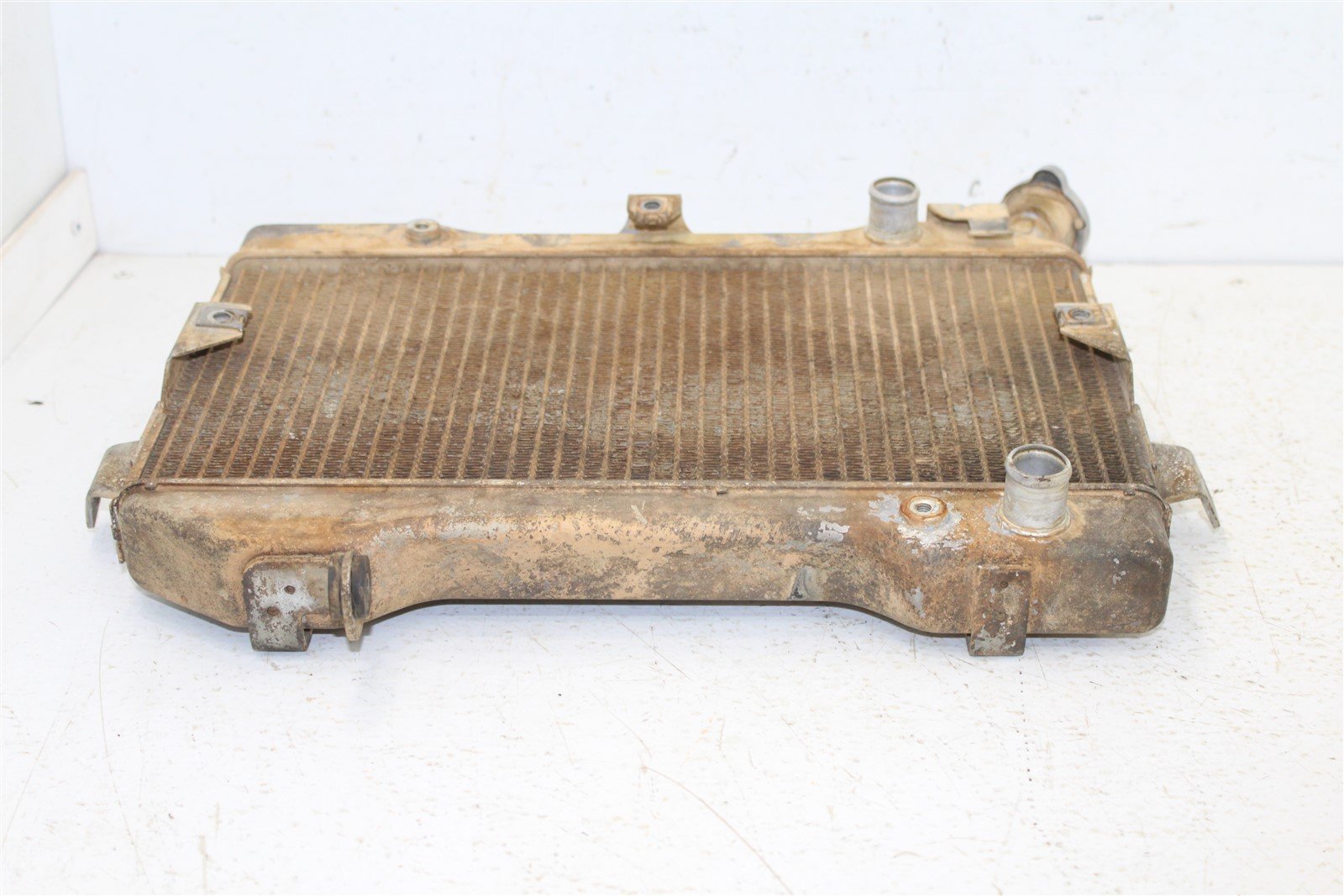 2006 Suzuki LTR-450 Coolant Radiator Guard Hoses