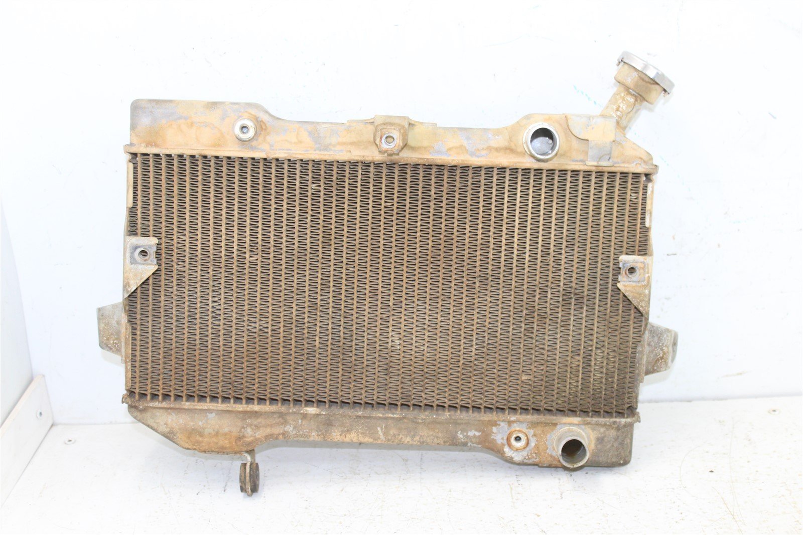 2006 Suzuki LTR-450 Coolant Radiator Guard Hoses