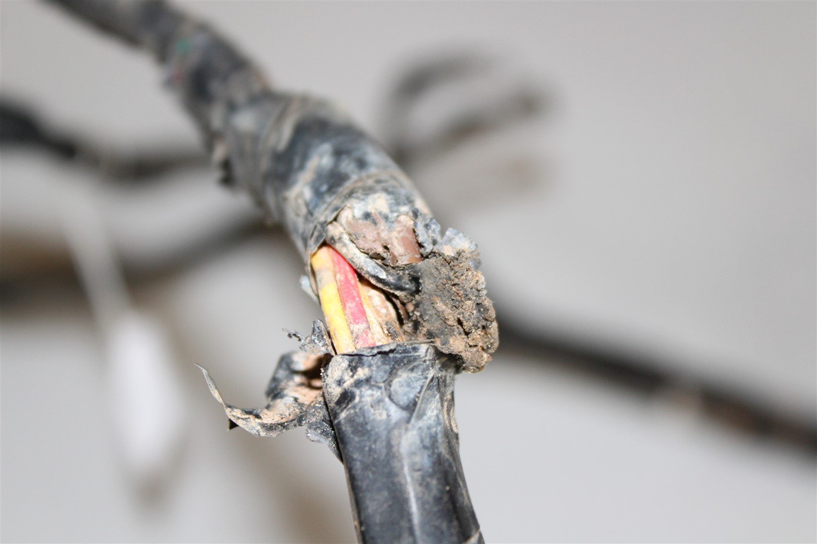 2005 Honda TRX450R Wire Wiring Harness