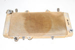 2008 Honda TRX 700XX Coolant Radiator