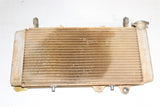 2008 Honda TRX 700XX Coolant Radiator