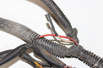 2000 Polaris Xplorer 250 4x4 Wire Wiring Harness